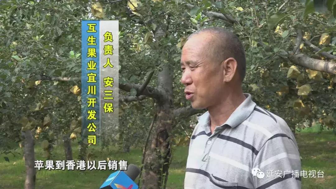 香港宣布最新消息，繁荣稳定的新篇章正在书写