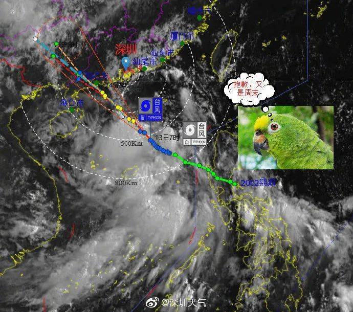 台风鹦鹉最新路线动态分析
