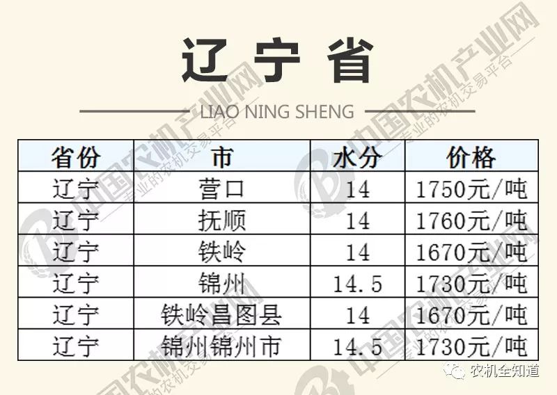 辽宁今日玉米价格最新动态分析