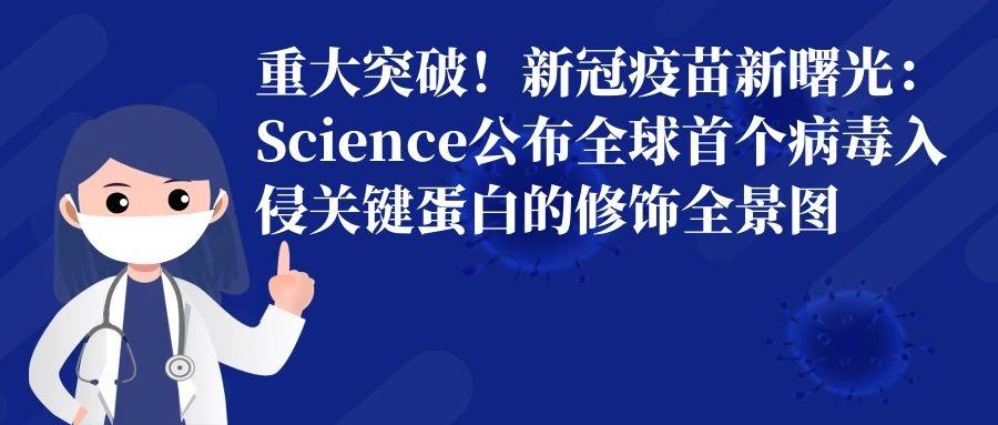 最新官方新冠疫苗，全球抗击疫情的关键力量